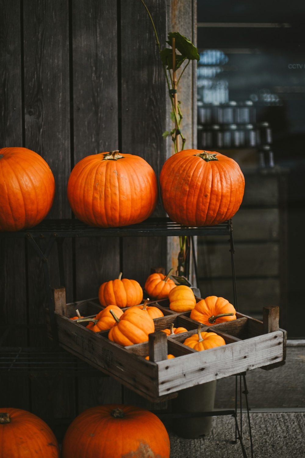 11 Small Apartment Halloween Decor Ideas That Pack Away Fast
